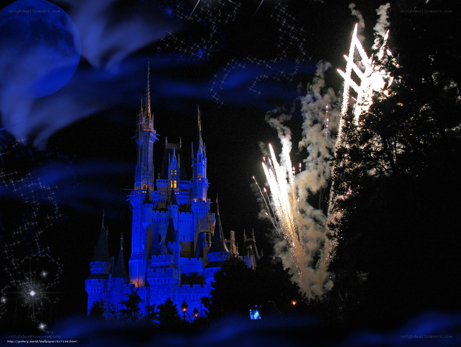 Cinderella Castle at night