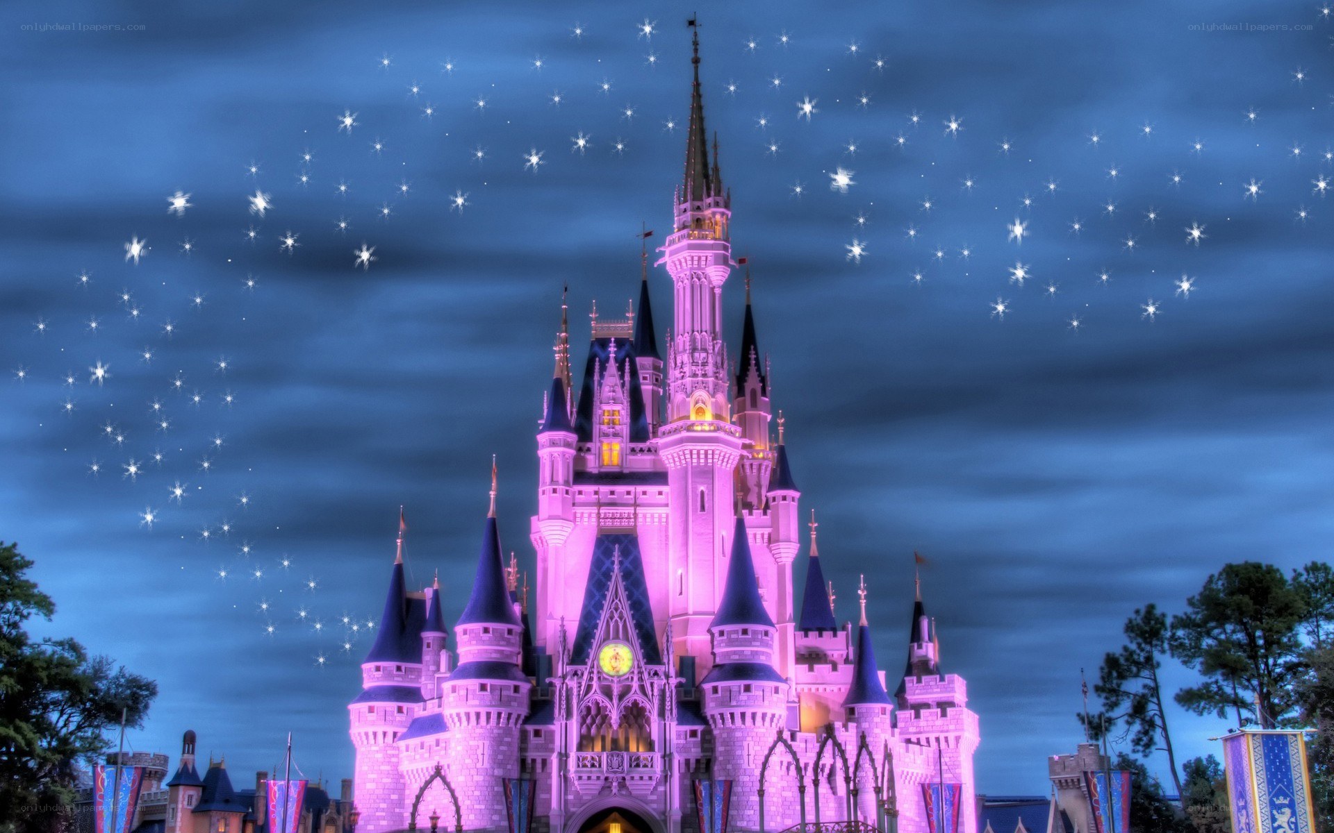 Cinderella Castle at night