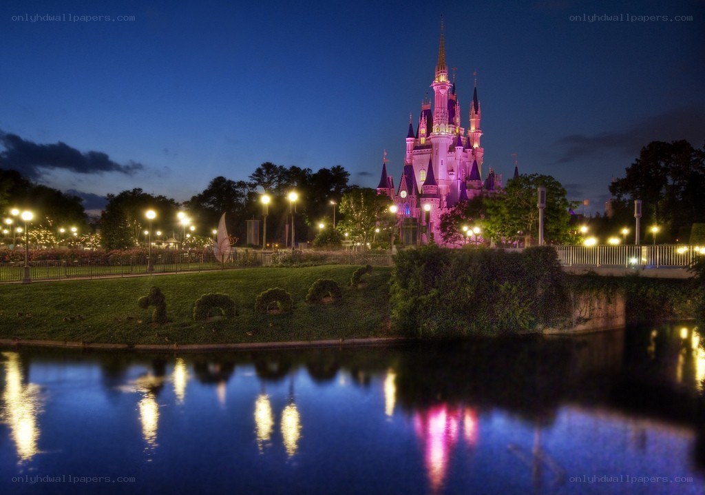 Cinderella Castle at night