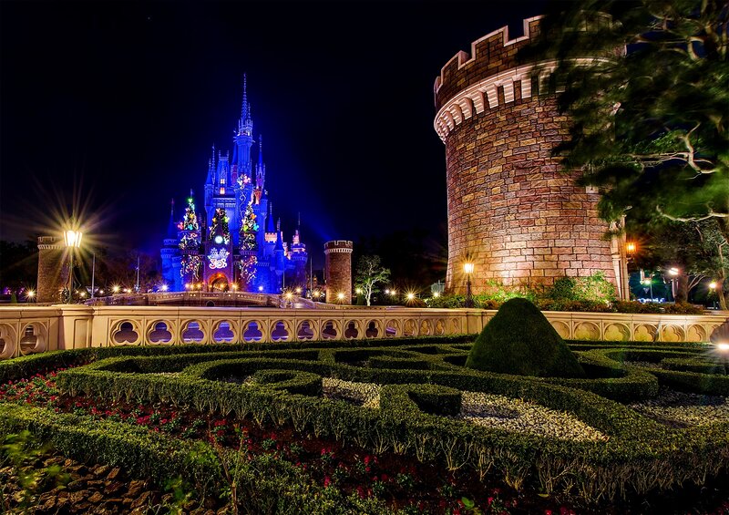 Cinderella Castle at Night — Blue, Magical, Photograph