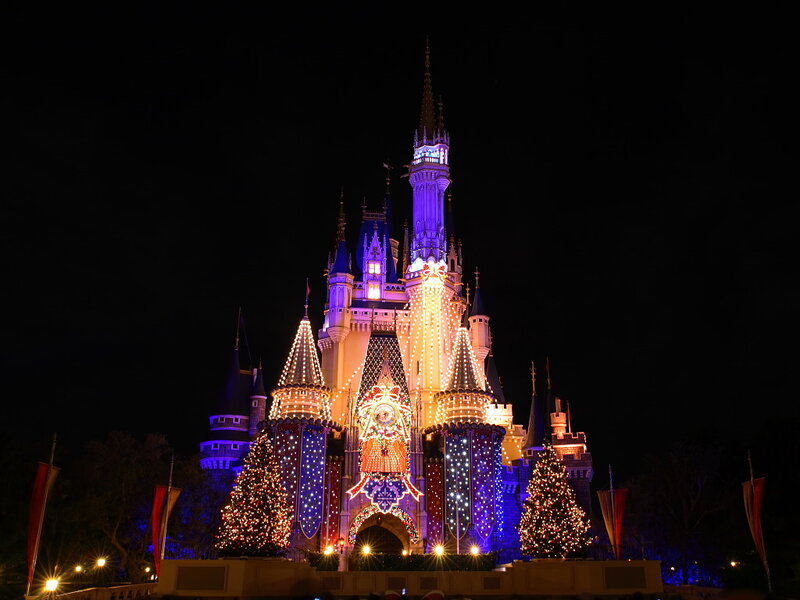 Cinderella Castle — Purple, Festive