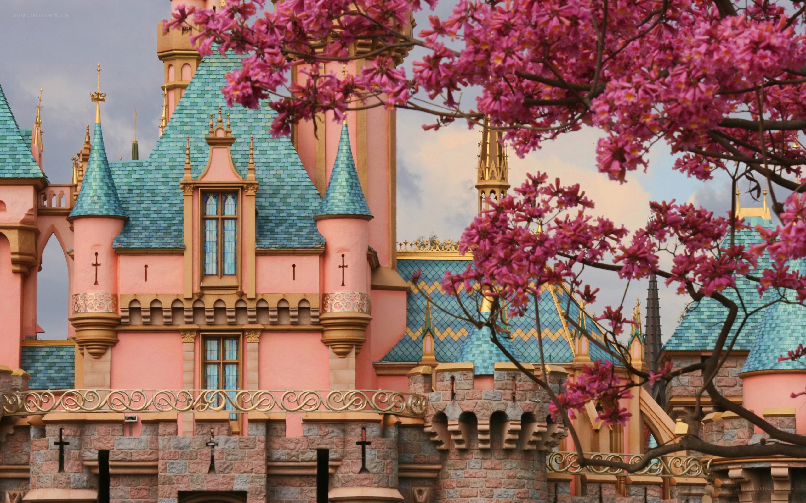 Cinderella Castle with cherry blossoms