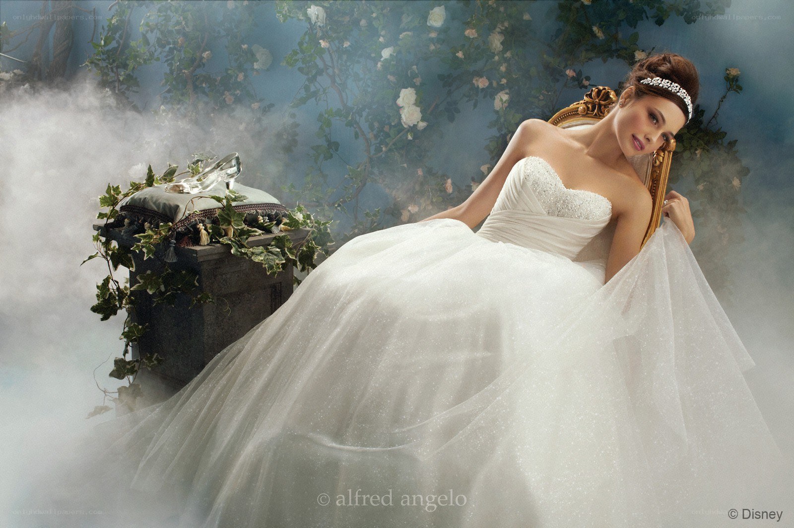 Cinderella in wedding gown