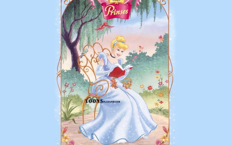 Cinderella Reading Book