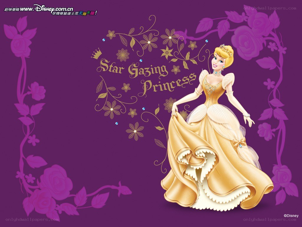 Cinderella Star Gazing Princess