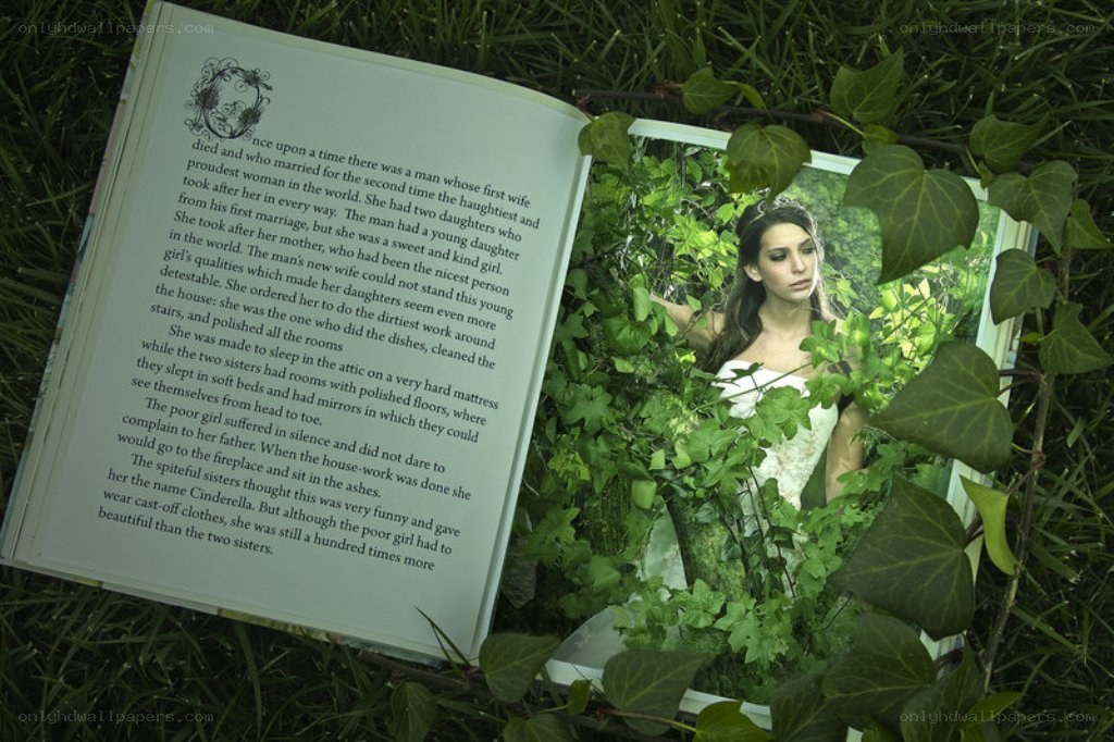 Cinderella story in a book