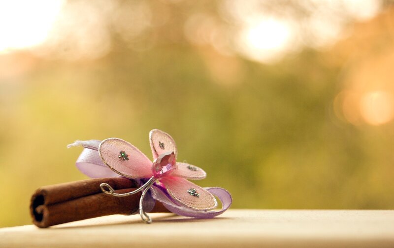 Cinnamon Stick with Butterfly