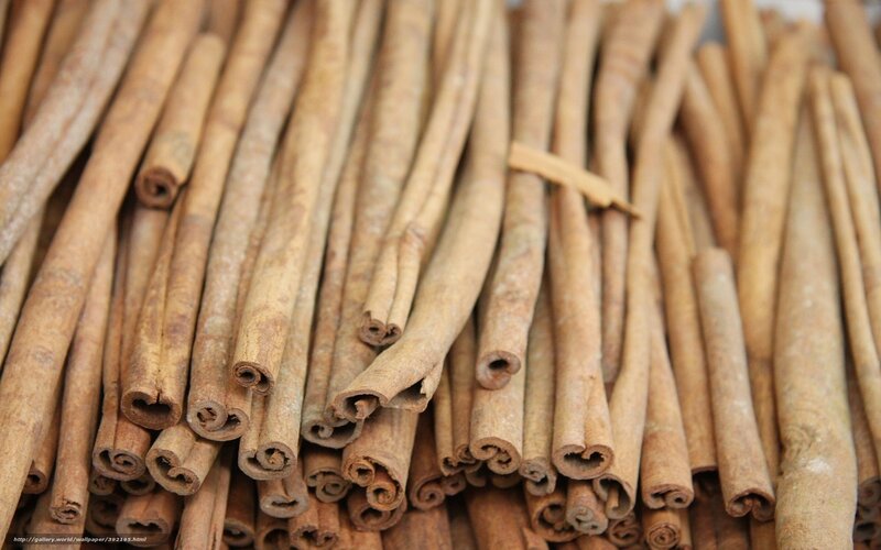 Cinnamon Sticks — Brown, Neutral, Photograph