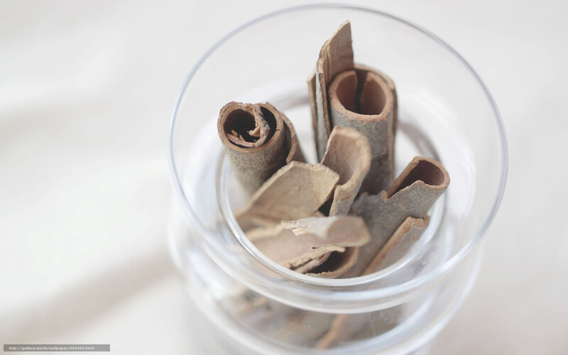 cinnamon sticks in a glass jar