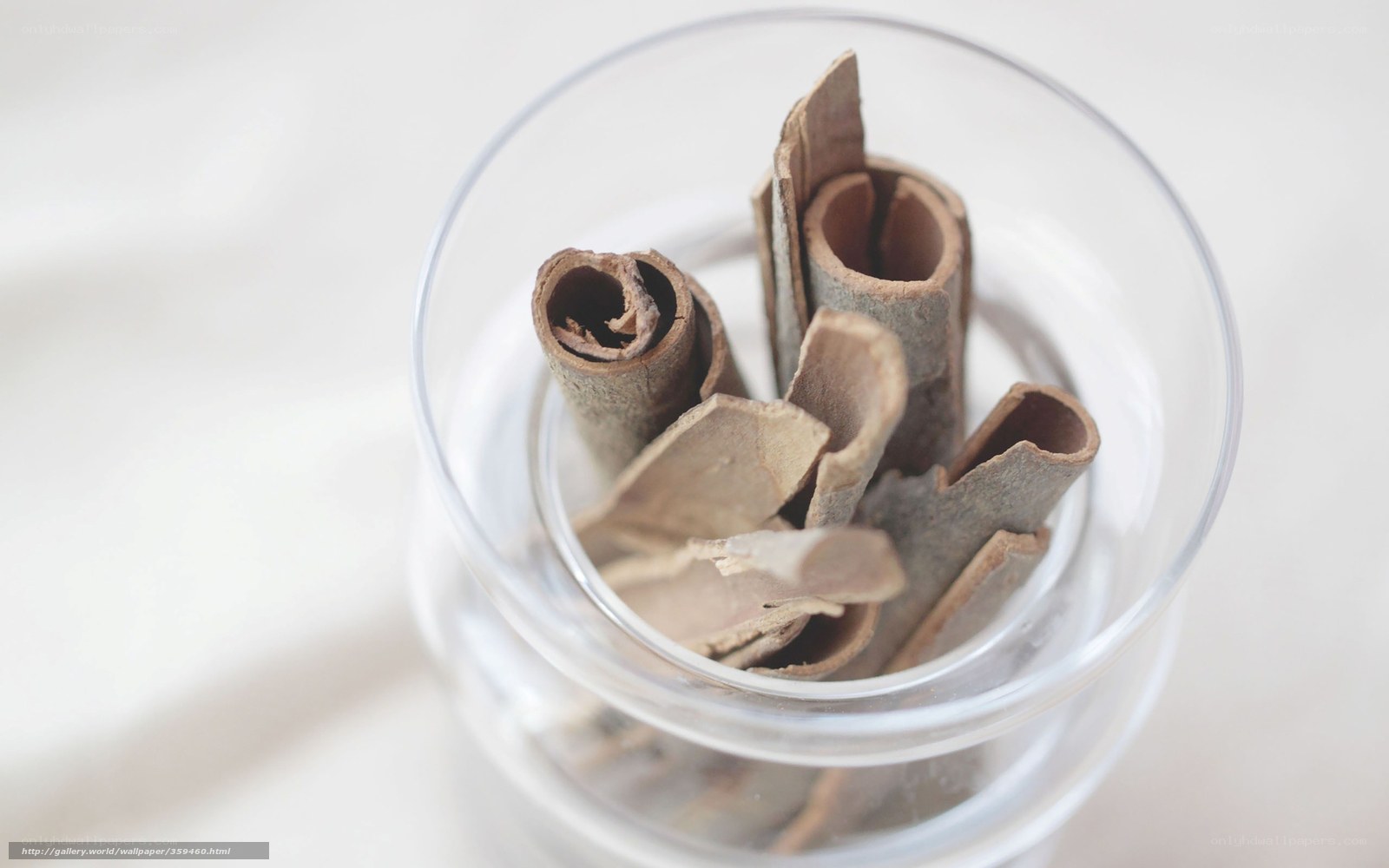 cinnamon sticks in a glass jar