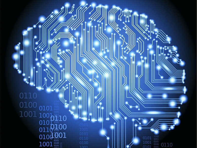 Circuit Board Brain
