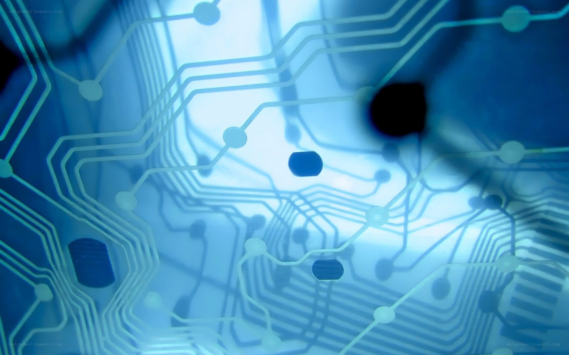 circuit board close-up
