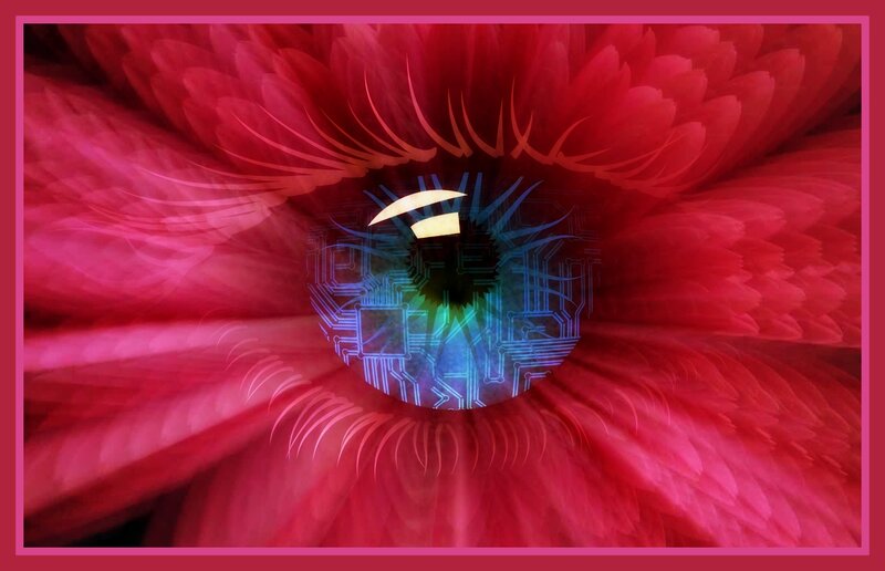 Circuit Board Eye in Flower