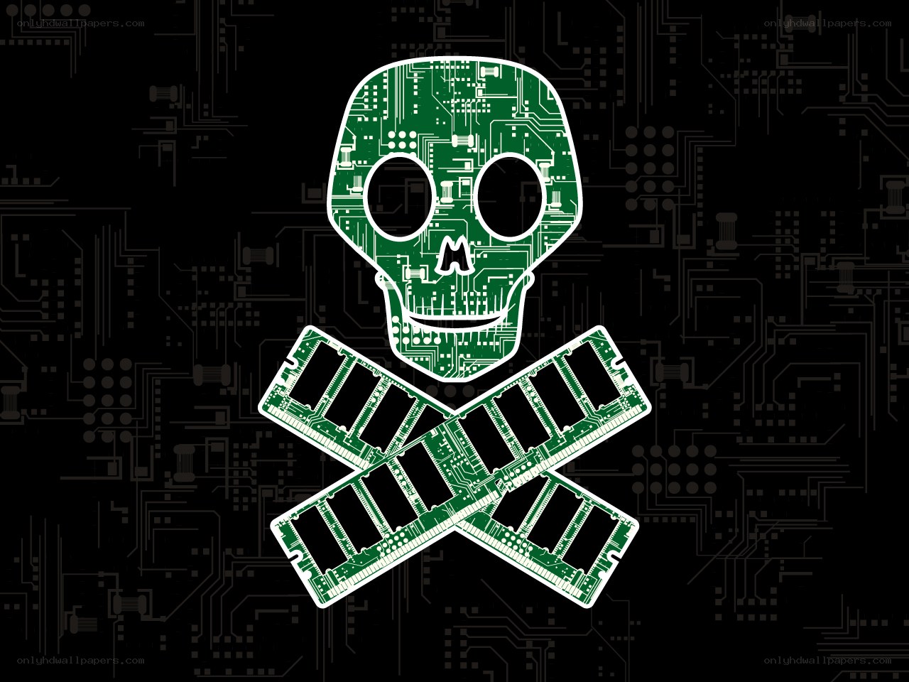 circuit board skull and crossbones