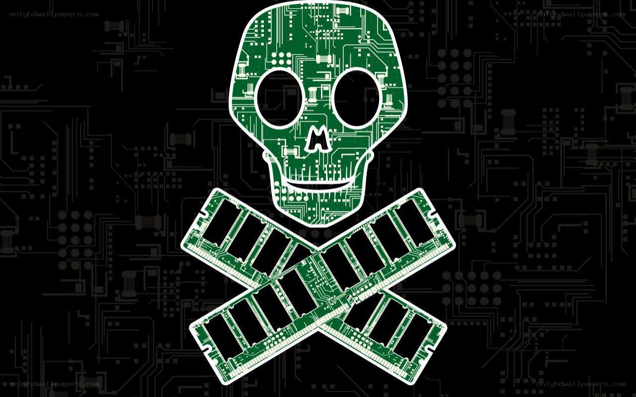 circuit board skull and crossbones