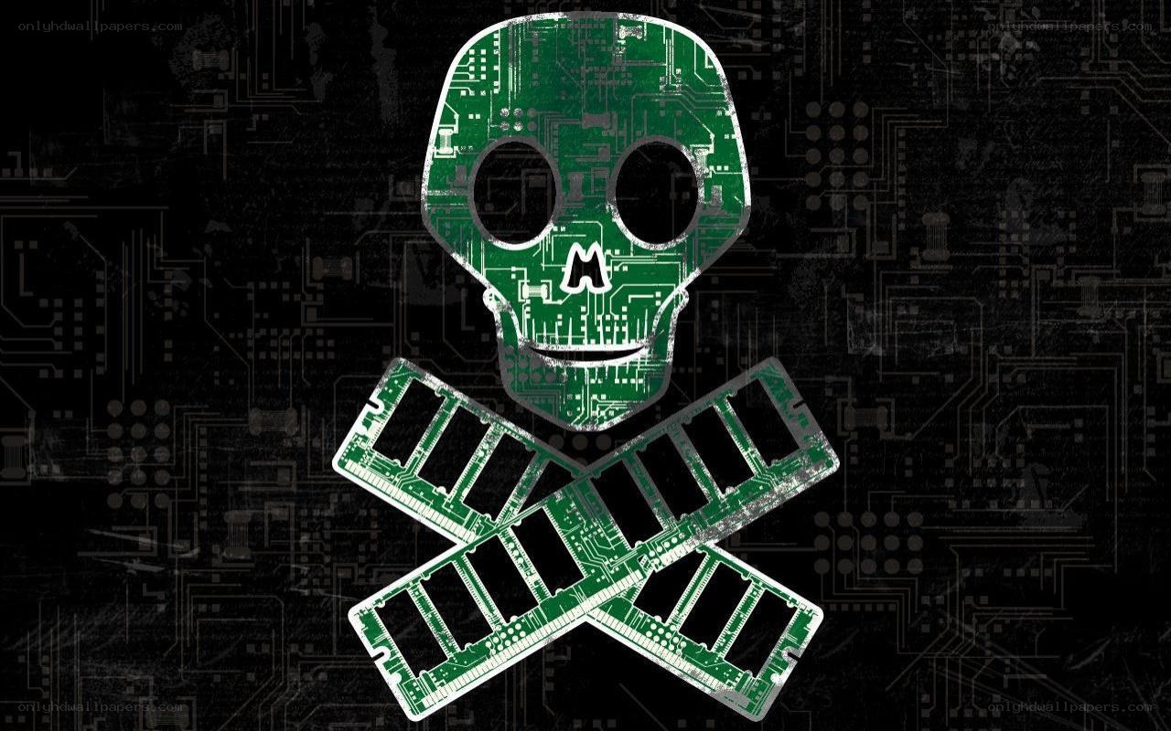circuit board skull and crossbones