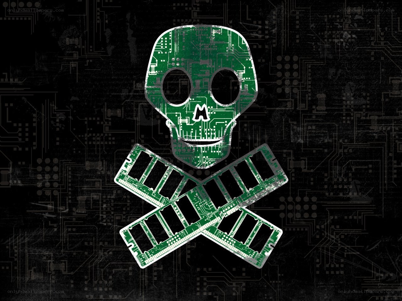 circuit board skull and crossbones