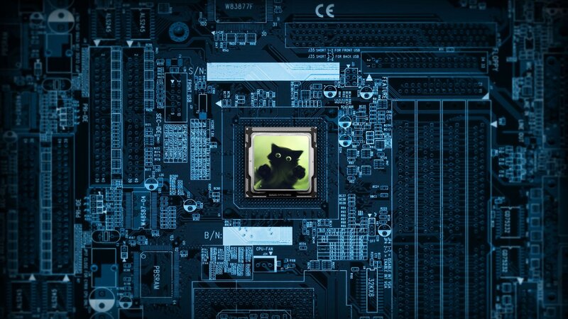 circuit board with cat CPU