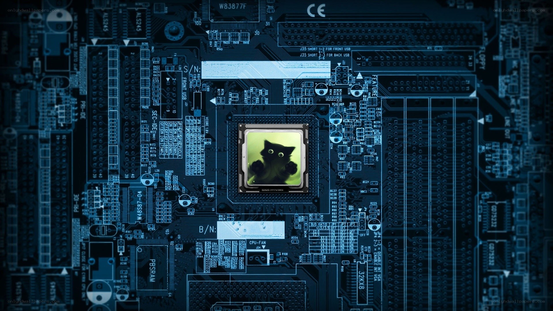circuit board with cat CPU
