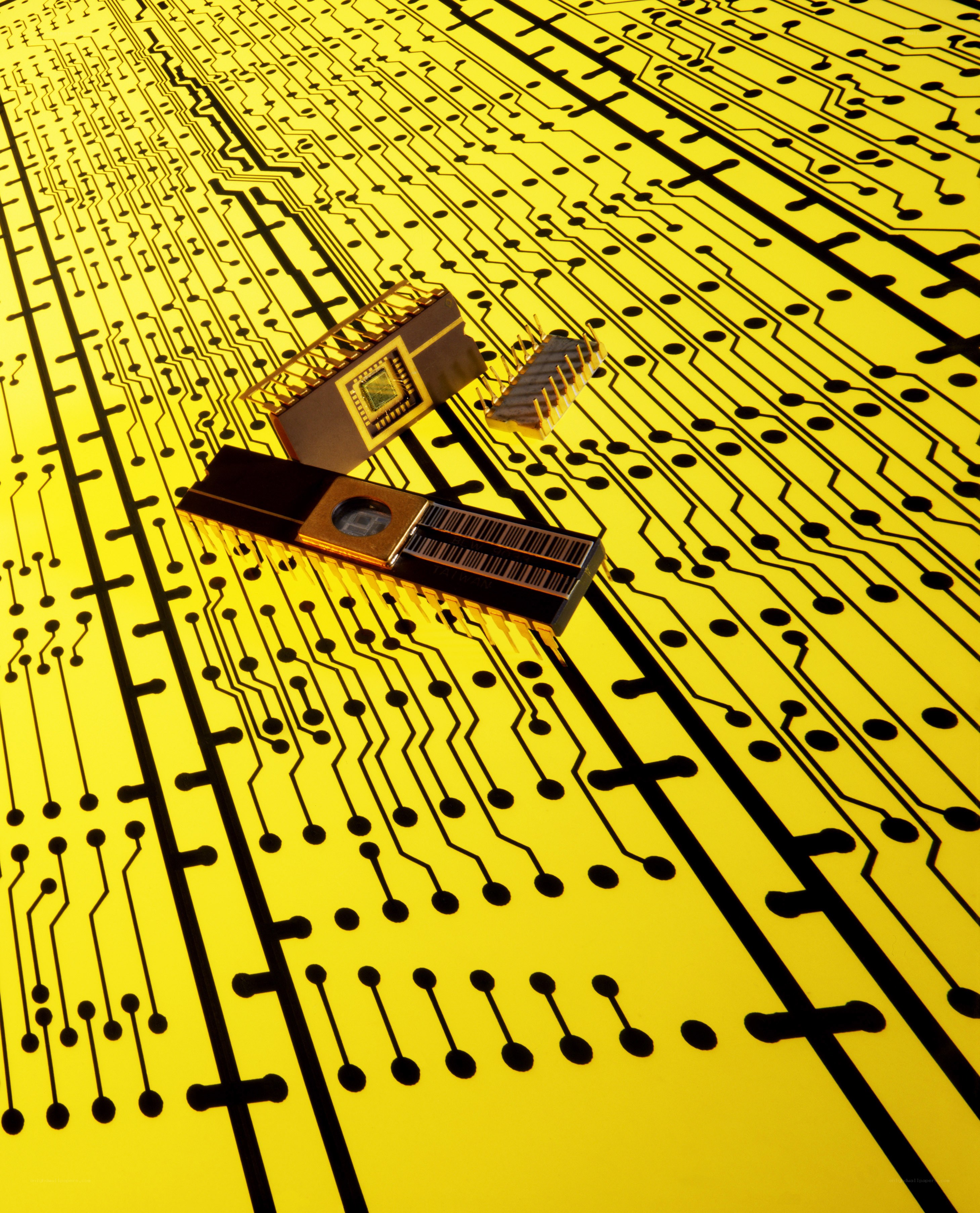 circuit board with microchips