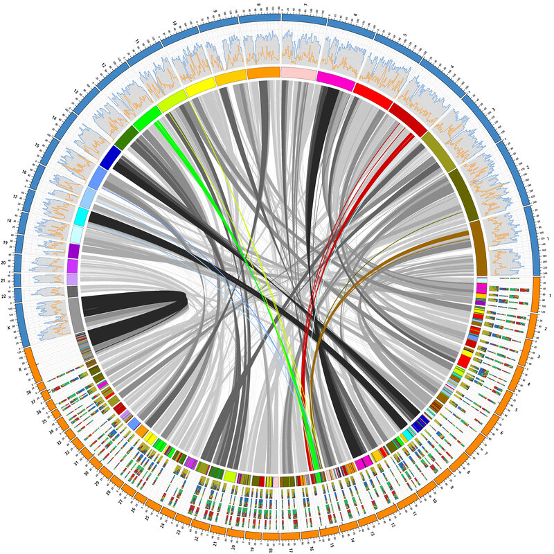 Circular data visualization chart