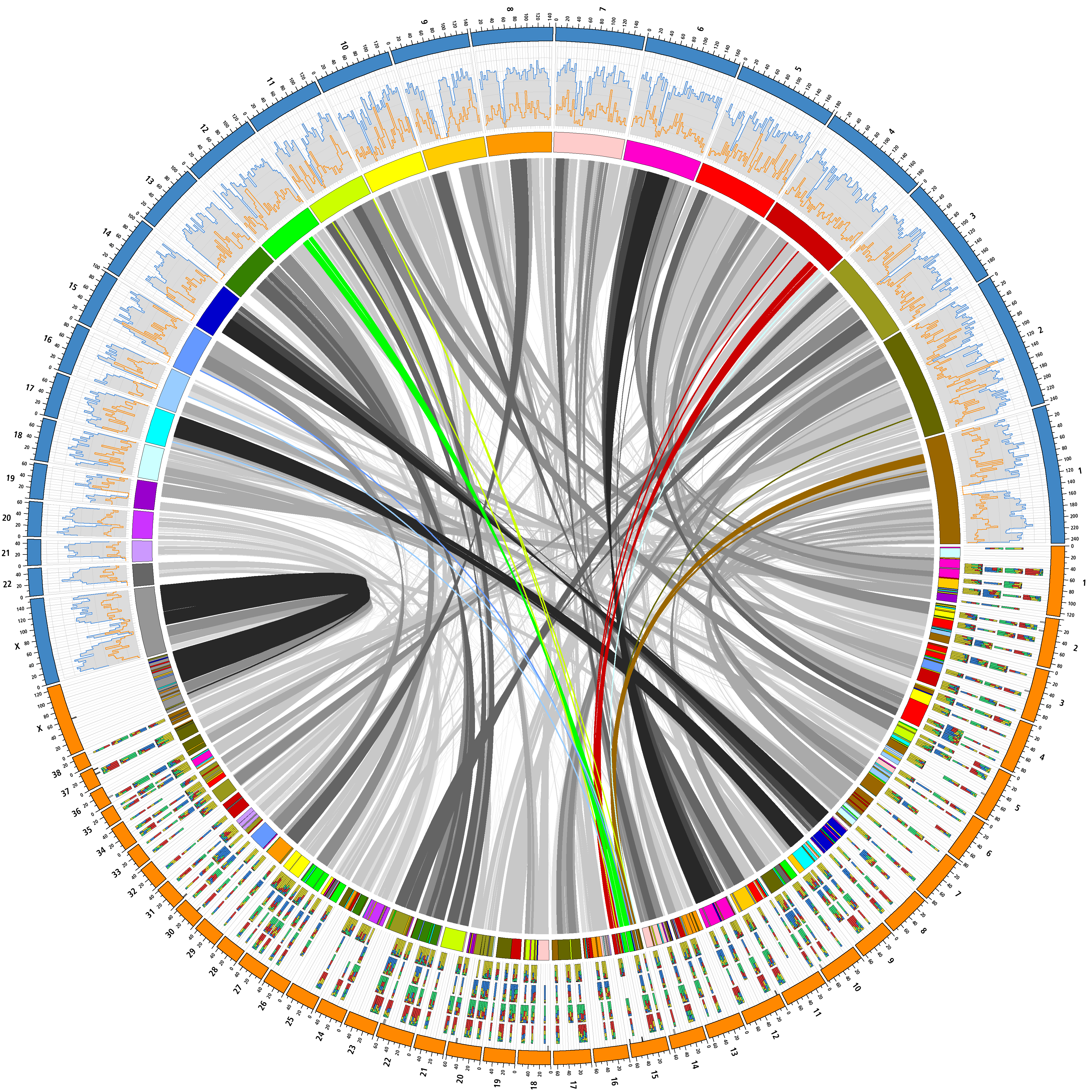 Circular data visualization chart