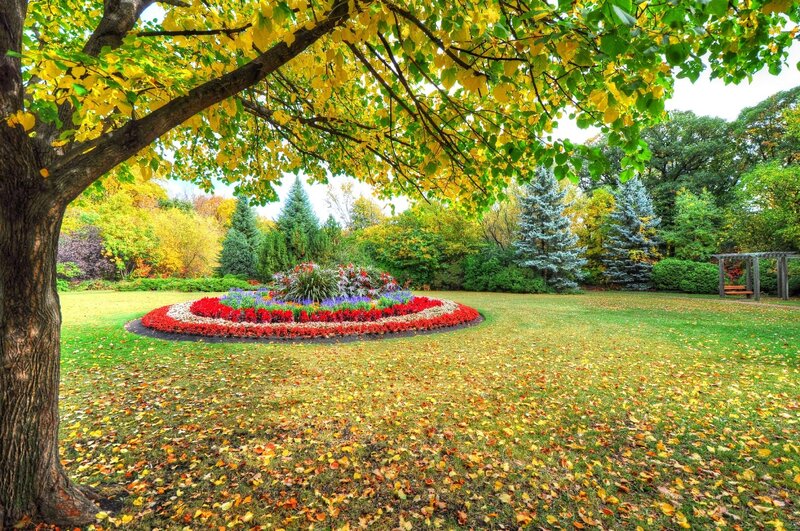 Circular Flower Bed — Green, Serene