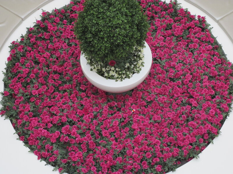 Circular Flower Bed — Pink, Calm
