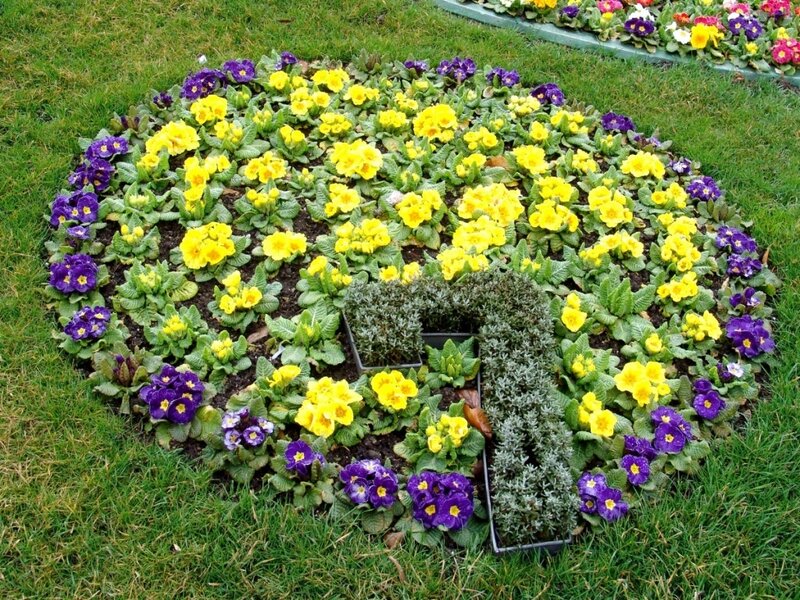 Circular Flower Bed — Yellow