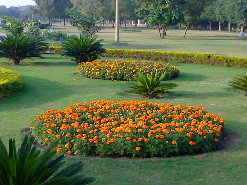 Circular Flower Beds