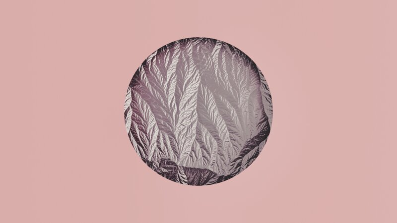 Circular Leaf Pattern