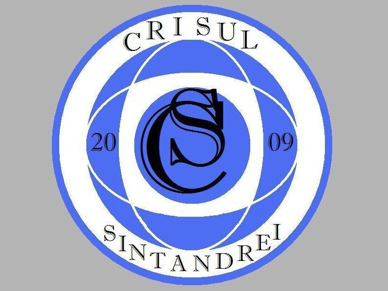 Circular Logo with Text