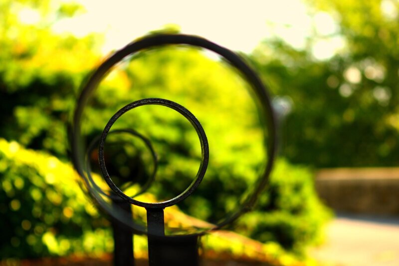 Circular metal railing in garden