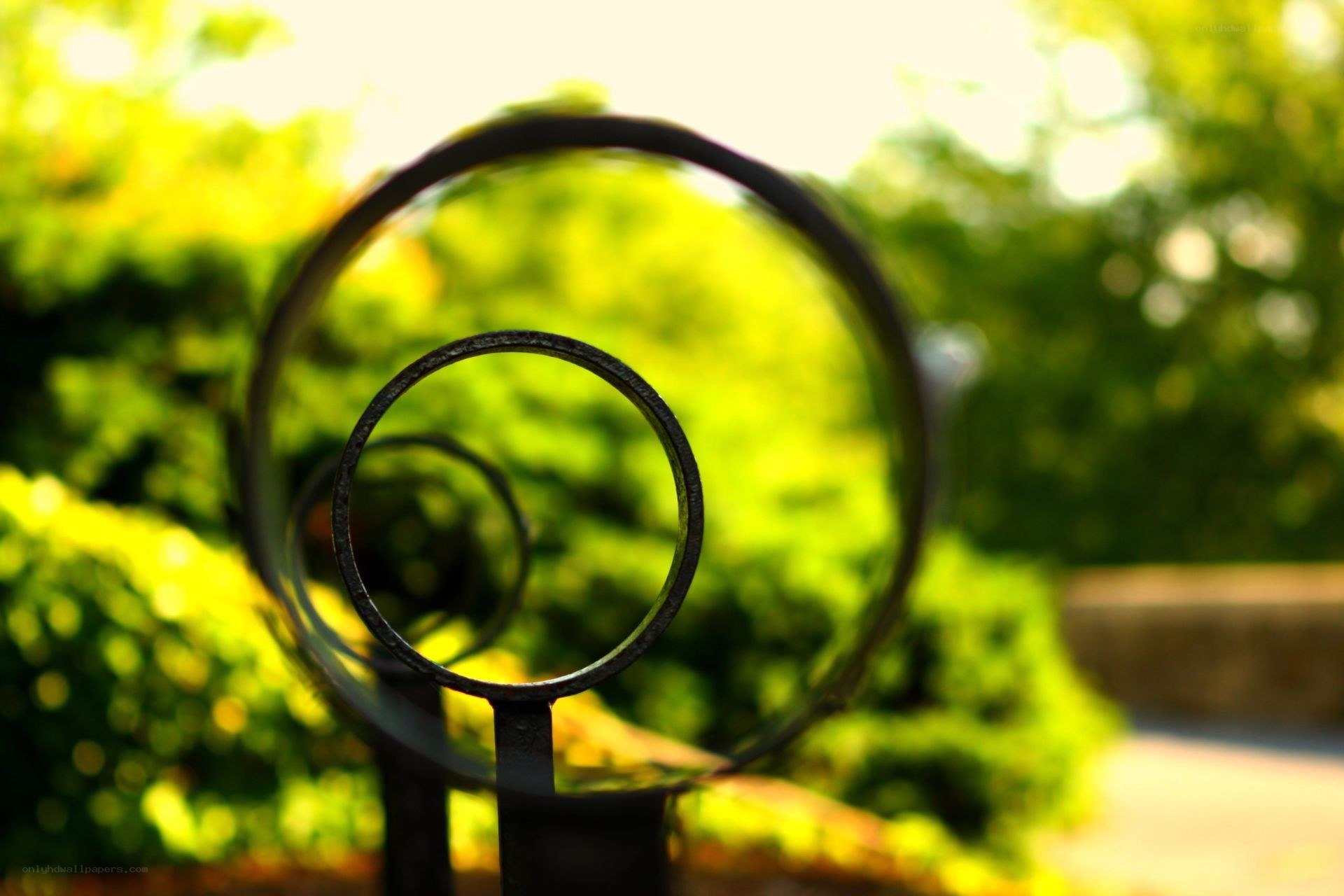 Circular metal railing in garden