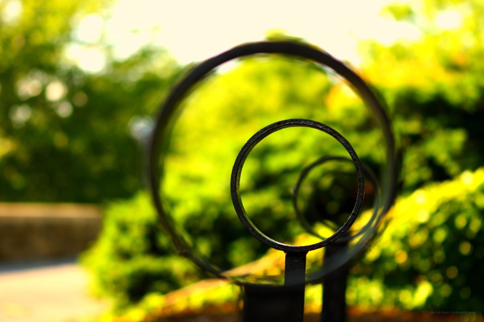Circular metal sculpture in garden