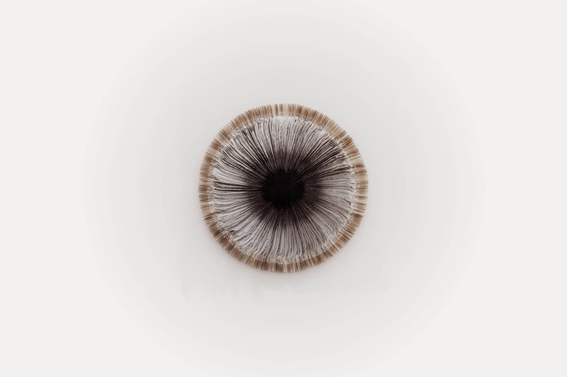 Circular Paper Sculpture