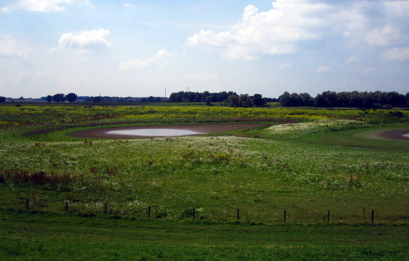 Circular Pond in Field