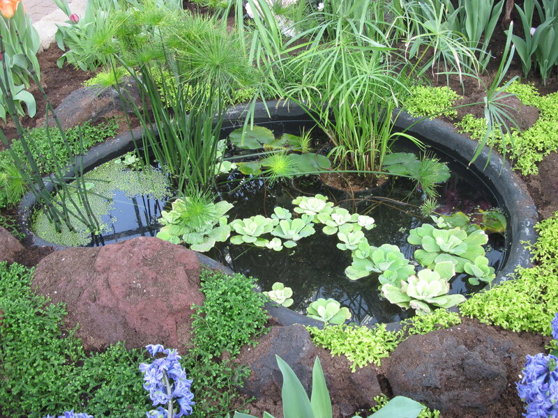 Circular Pond with Plants