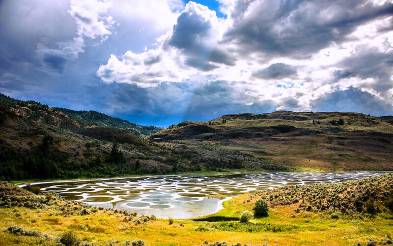 Circular Ponds in Field