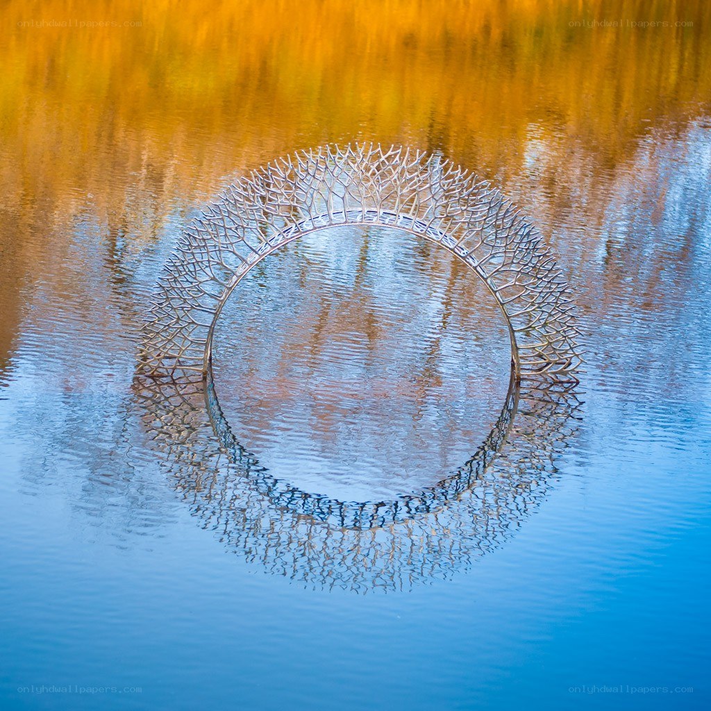 Circular sculpture in water