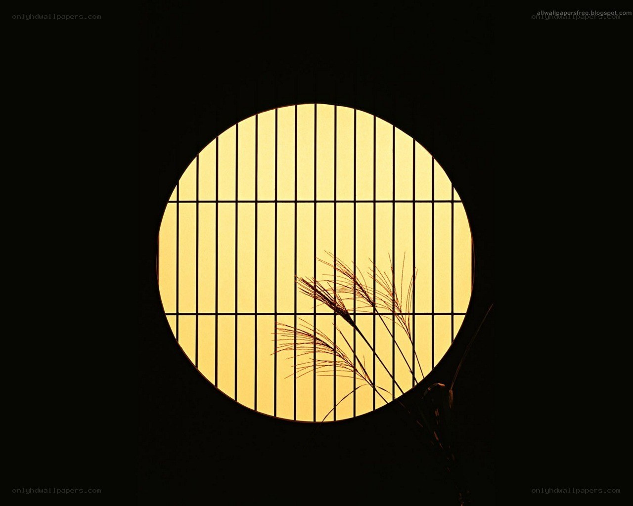 circular window with grass silhouette