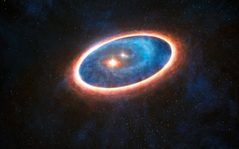 Circumstellar Disk