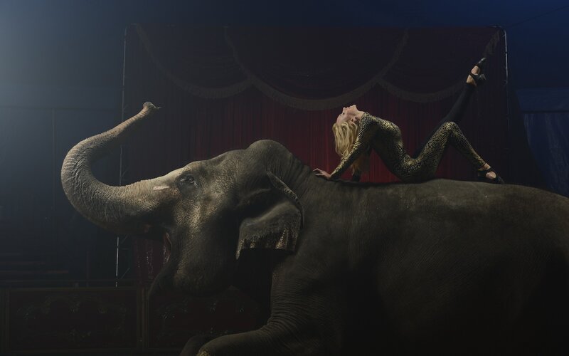 Circus performer on elephant