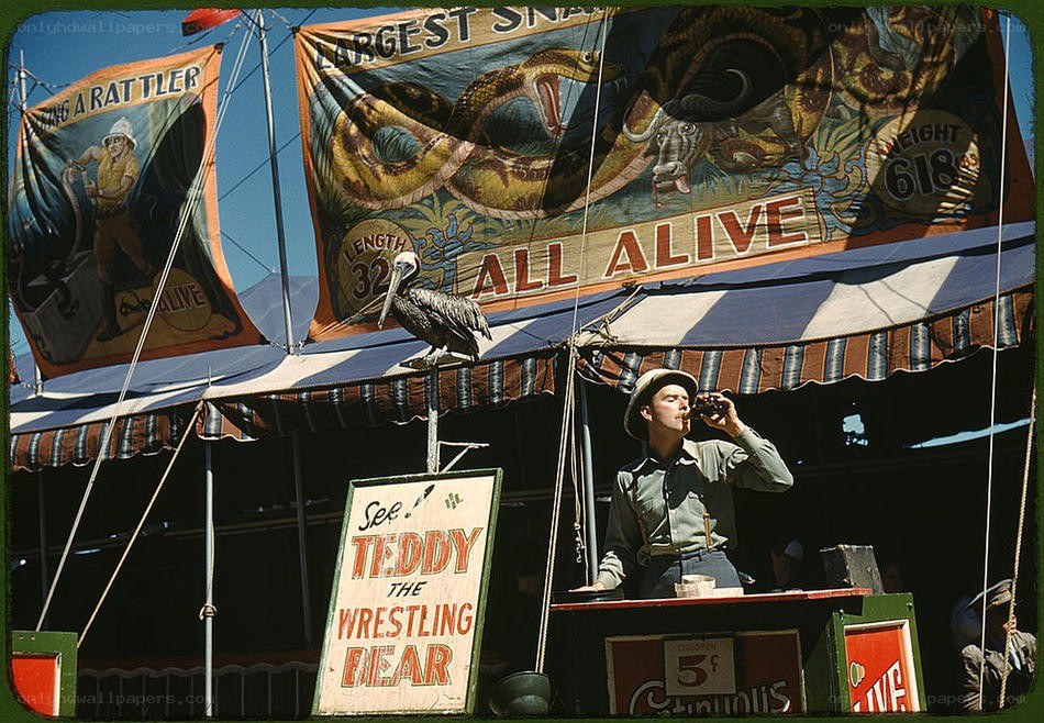 Circus performer with pelican
