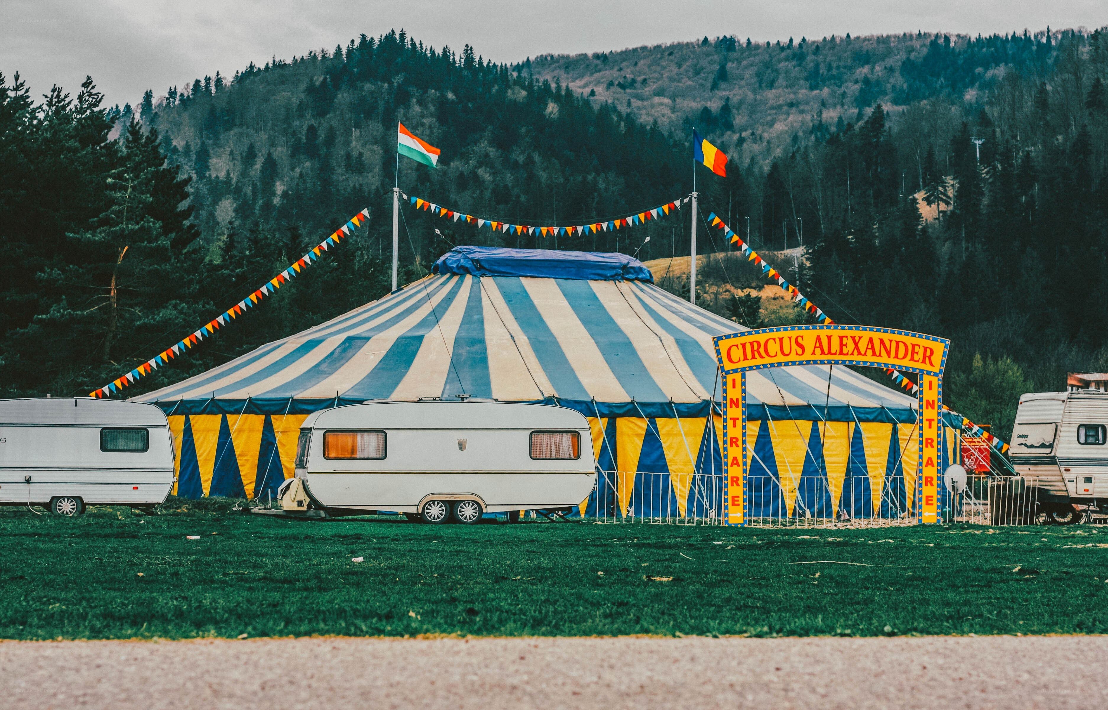 Circus tent in forest clearing