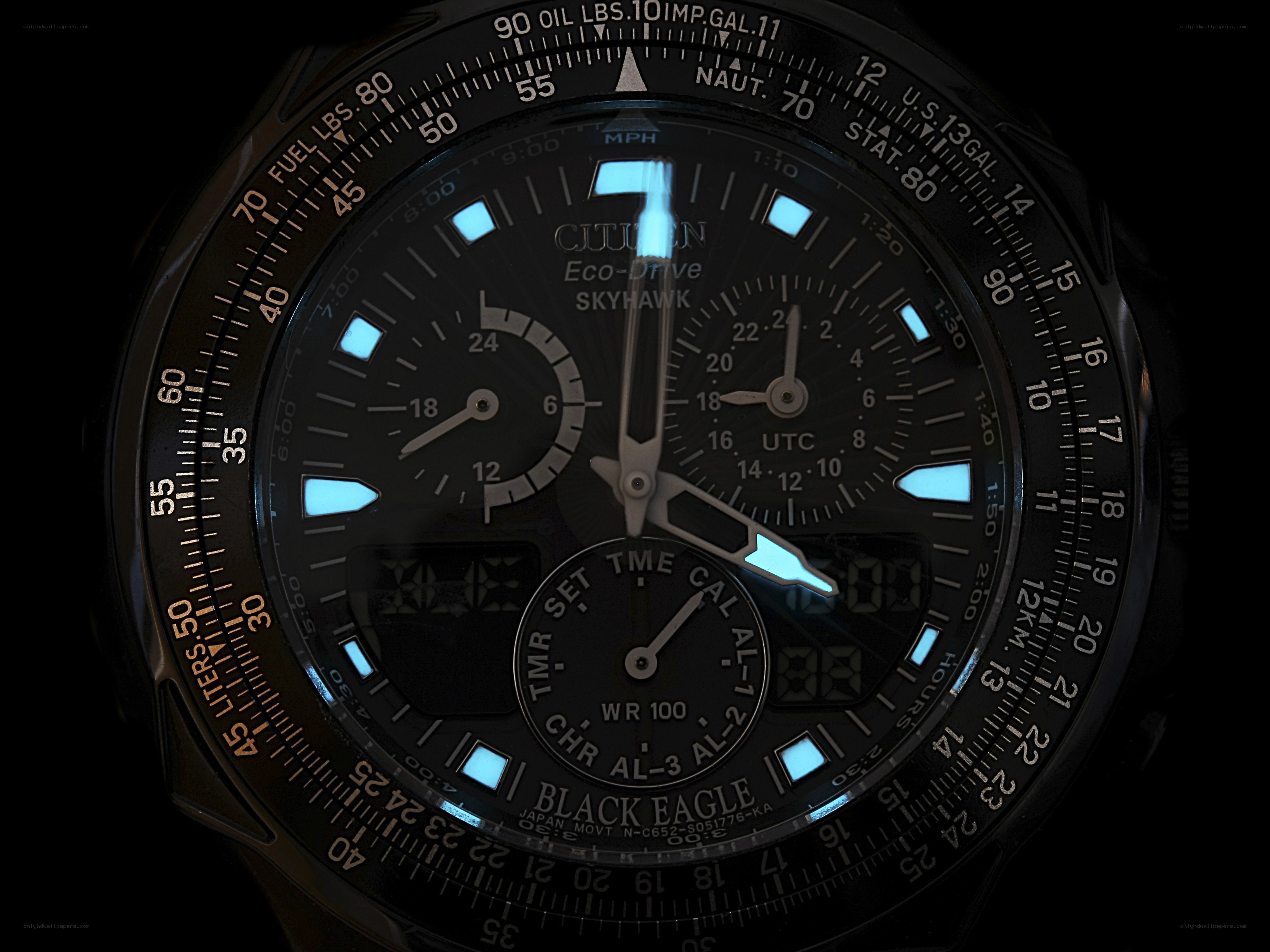 Citizen Eco-Drive Skyhawk watch