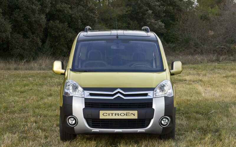Citroën Berlingo in a field