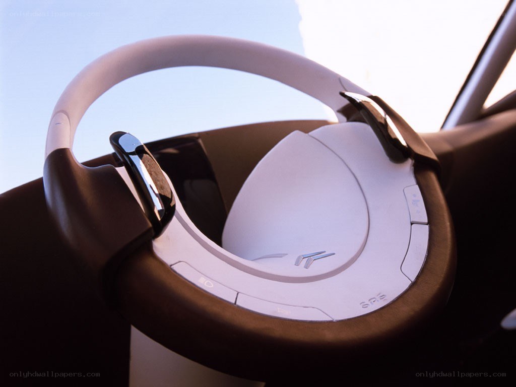 Citroën steering wheel close-up