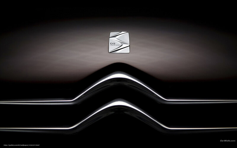 Citroen DS badge close-up