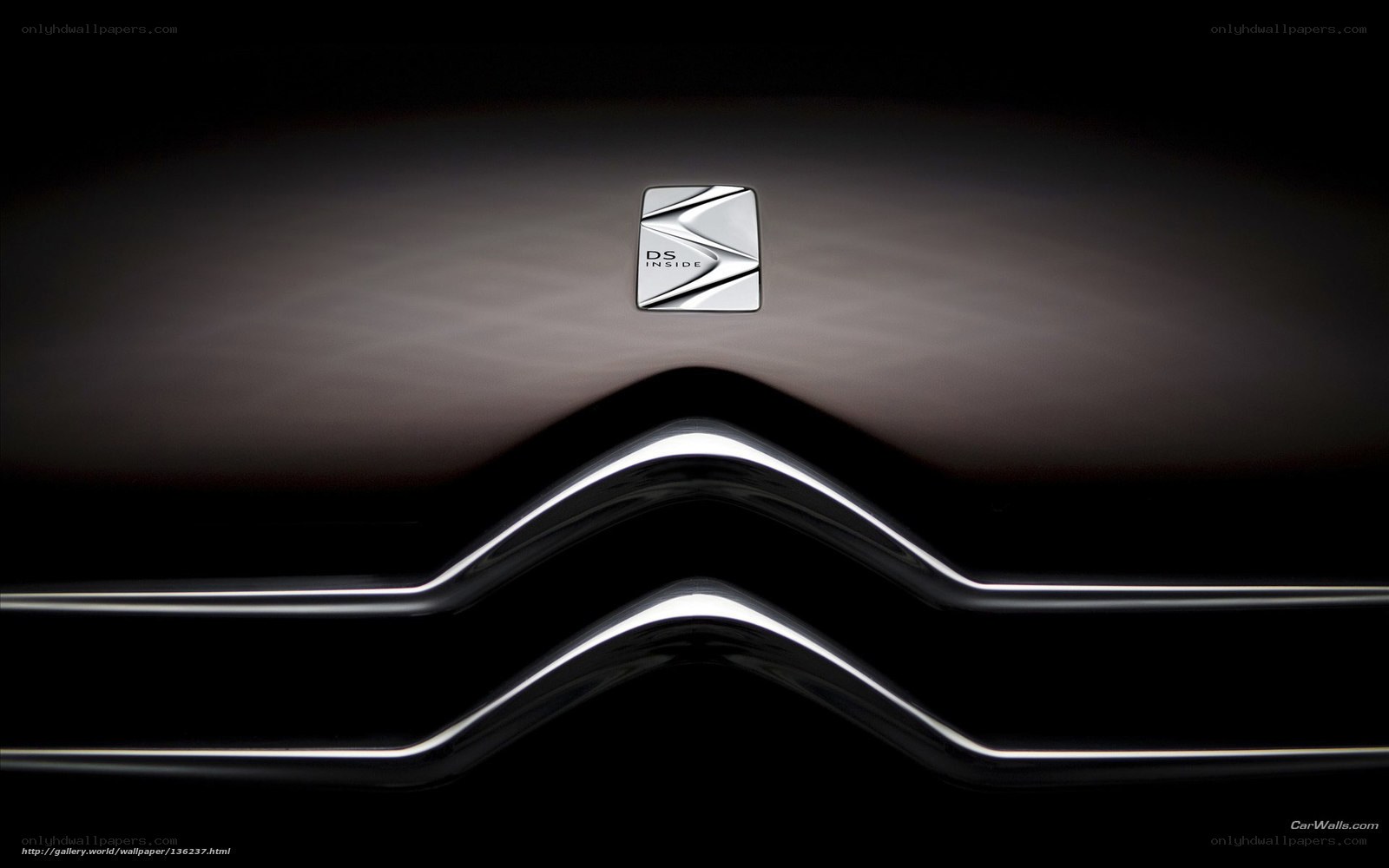 Citroen DS badge close-up